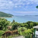 【大自然を満喫！】10月開催！奄美大島スノーケリング＆スキンダイビングツアー